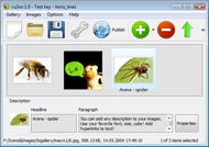 mouse direction slideshow in flash Flash Slidshows For Business